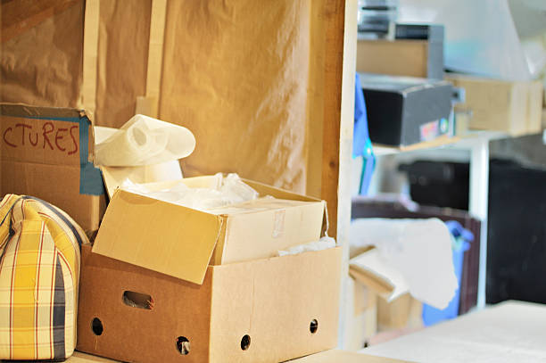 Best Office Junk Removal  in Maquoketa, IA